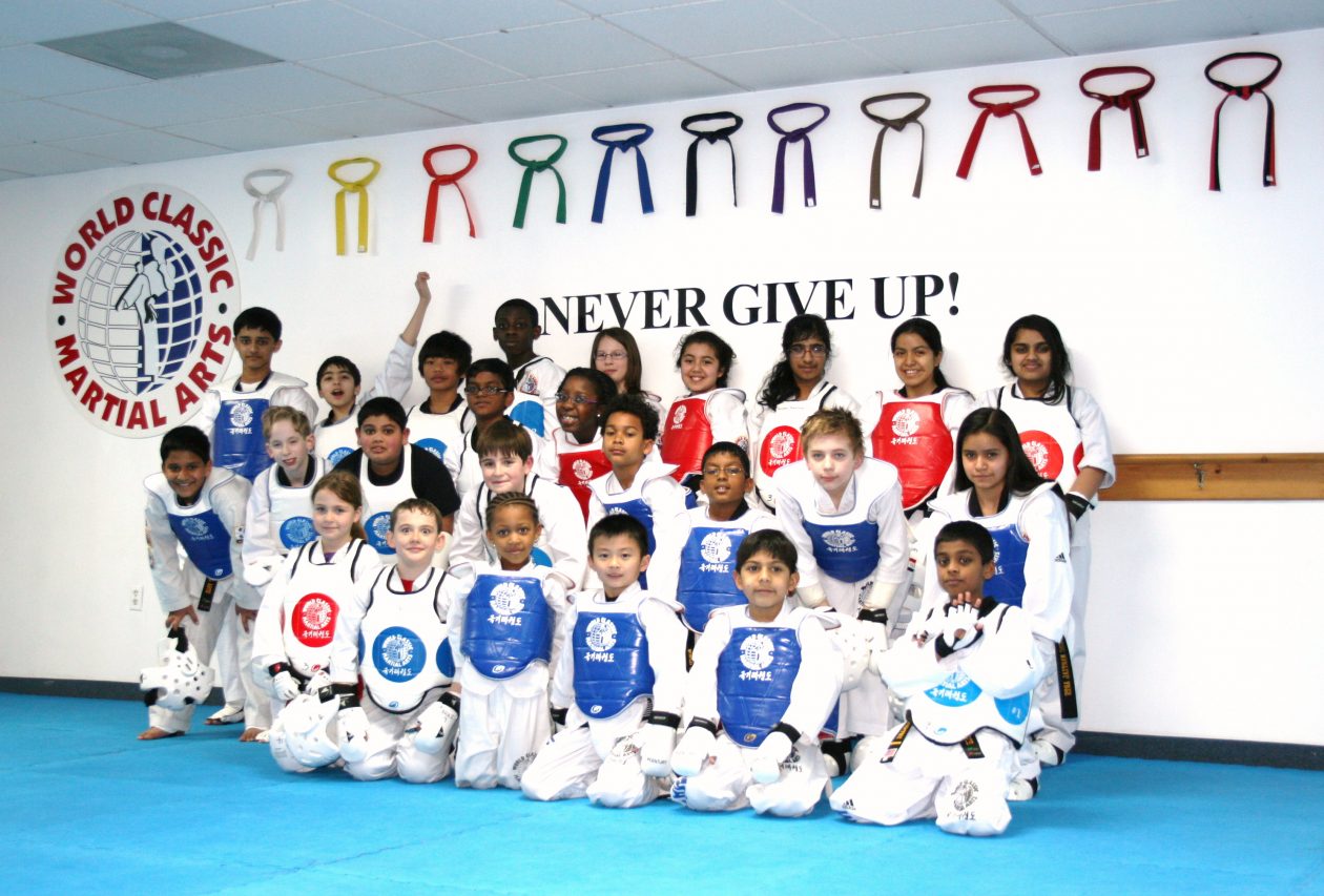 hwang's martial arts summer camp